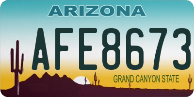 AZ license plate AFE8673