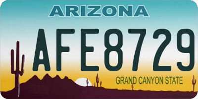 AZ license plate AFE8729