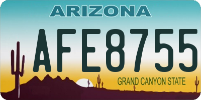 AZ license plate AFE8755