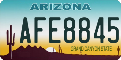AZ license plate AFE8845