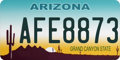 AZ license plate AFE8873