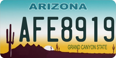AZ license plate AFE8919