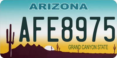 AZ license plate AFE8975
