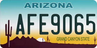 AZ license plate AFE9065