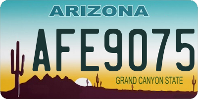 AZ license plate AFE9075