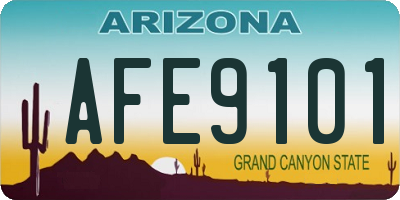AZ license plate AFE9101