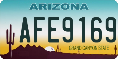 AZ license plate AFE9169