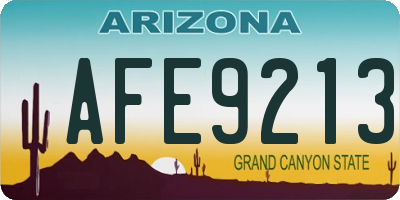AZ license plate AFE9213