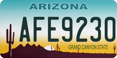 AZ license plate AFE9230