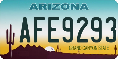 AZ license plate AFE9293