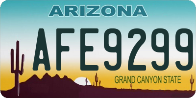 AZ license plate AFE9299