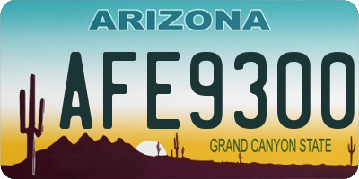 AZ license plate AFE9300