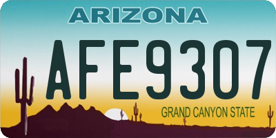 AZ license plate AFE9307