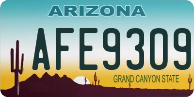 AZ license plate AFE9309