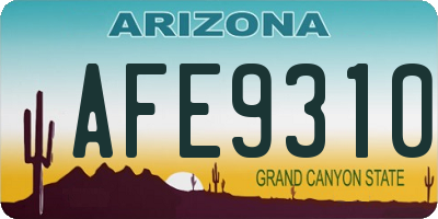 AZ license plate AFE9310