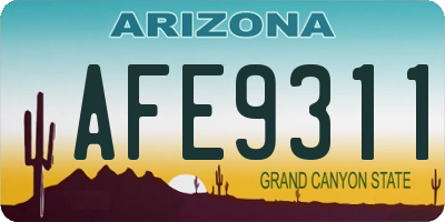 AZ license plate AFE9311