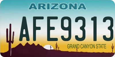 AZ license plate AFE9313