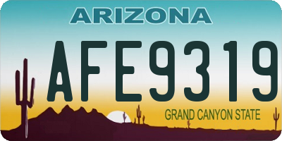 AZ license plate AFE9319