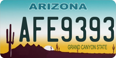 AZ license plate AFE9393