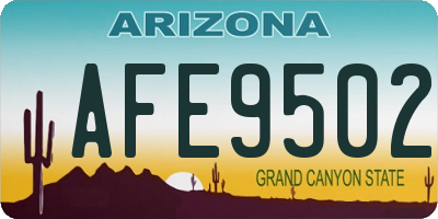 AZ license plate AFE9502