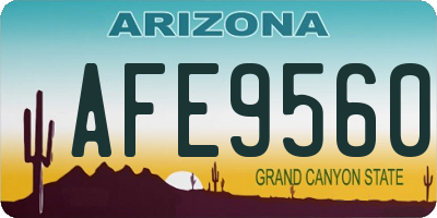 AZ license plate AFE9560