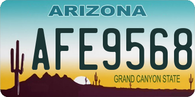 AZ license plate AFE9568