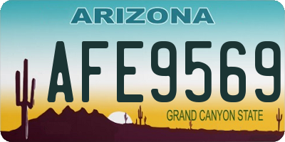 AZ license plate AFE9569
