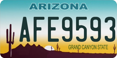 AZ license plate AFE9593