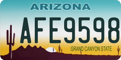 AZ license plate AFE9598