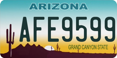 AZ license plate AFE9599