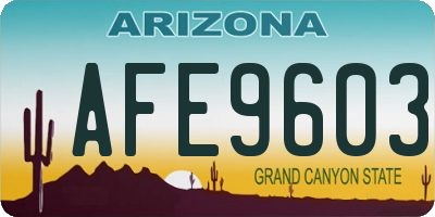 AZ license plate AFE9603