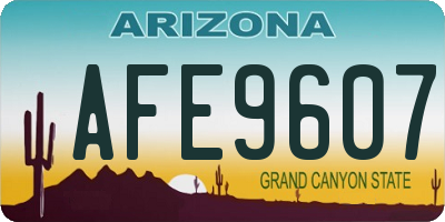 AZ license plate AFE9607