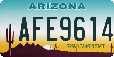 AZ license plate AFE9614