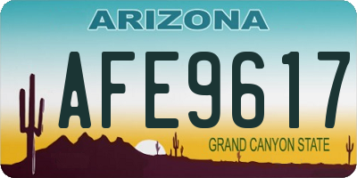 AZ license plate AFE9617