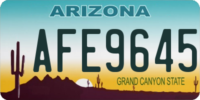 AZ license plate AFE9645
