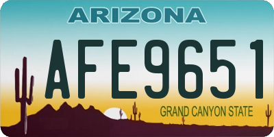 AZ license plate AFE9651