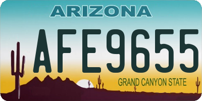 AZ license plate AFE9655