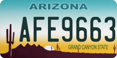 AZ license plate AFE9663