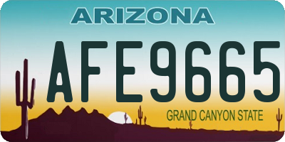 AZ license plate AFE9665