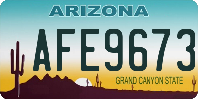 AZ license plate AFE9673