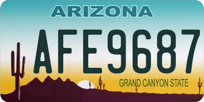 AZ license plate AFE9687