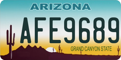 AZ license plate AFE9689