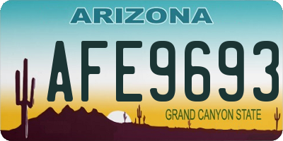 AZ license plate AFE9693