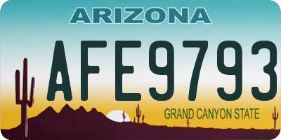 AZ license plate AFE9793