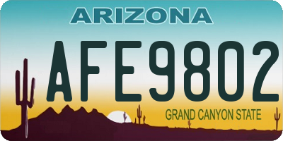 AZ license plate AFE9802