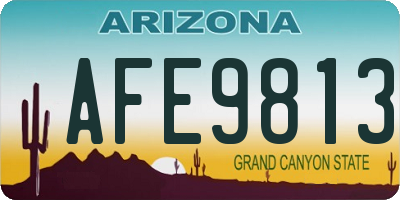 AZ license plate AFE9813