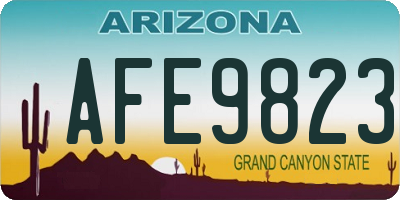 AZ license plate AFE9823