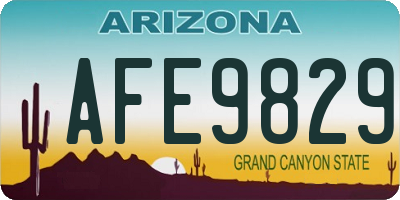 AZ license plate AFE9829