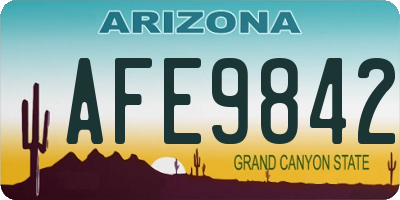 AZ license plate AFE9842