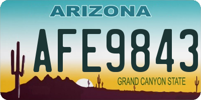 AZ license plate AFE9843